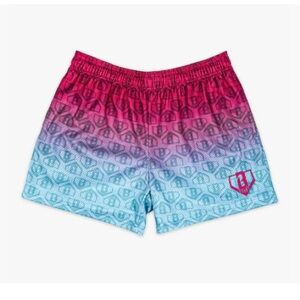 Baseball Lifestyle 101, Gradient Pink and Blue “cotton candy” Logo Shorts